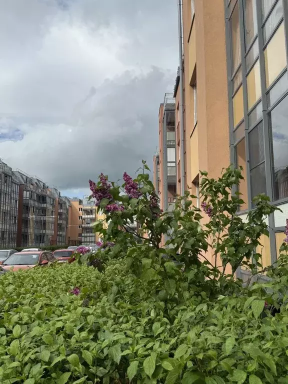 Студия Санкт-Петербург Пулковское ш., 73к3 (23.0 м) - Фото 0