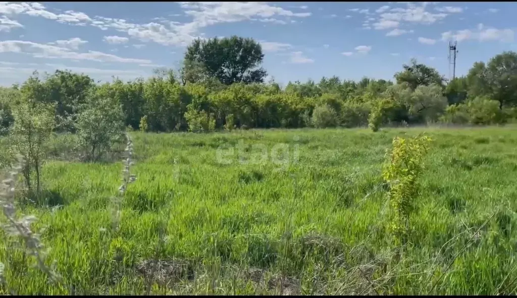 Амурская Область Купить Земельный Участок