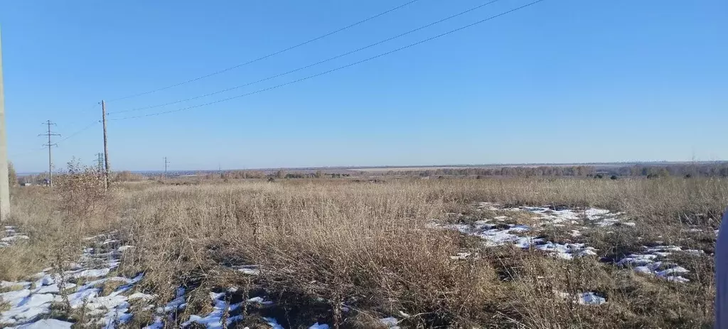 Участок в Алтайский край, Барнаул городской округ, пос. Центральный ... - Фото 1
