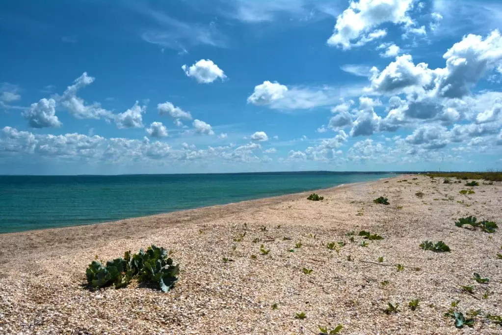 Участок в Крым, Ленинский район, Семисотское с/пос, с. Соляное  (6.3 ... - Фото 1
