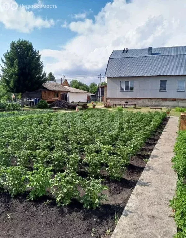 Дом в село Берёзово, улица Цеолитчиков (250 м) - Фото 2