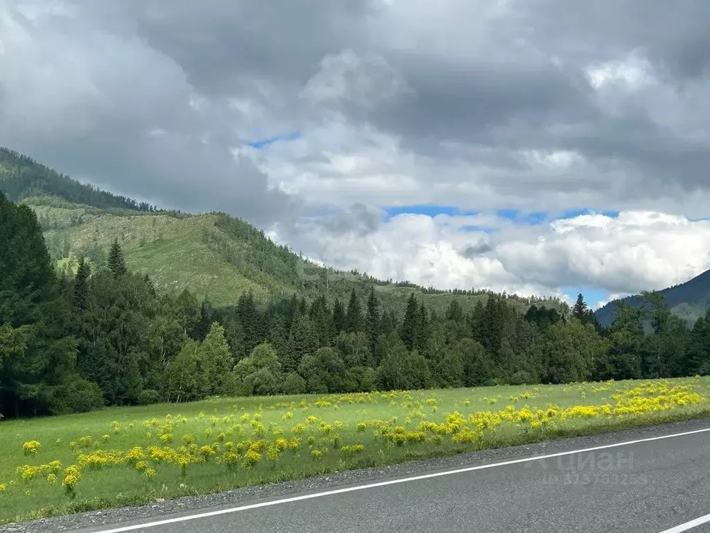 Участок в Алтай, Онгудайский район, Теньгинское с/пос, с. Туекта  ... - Фото 1