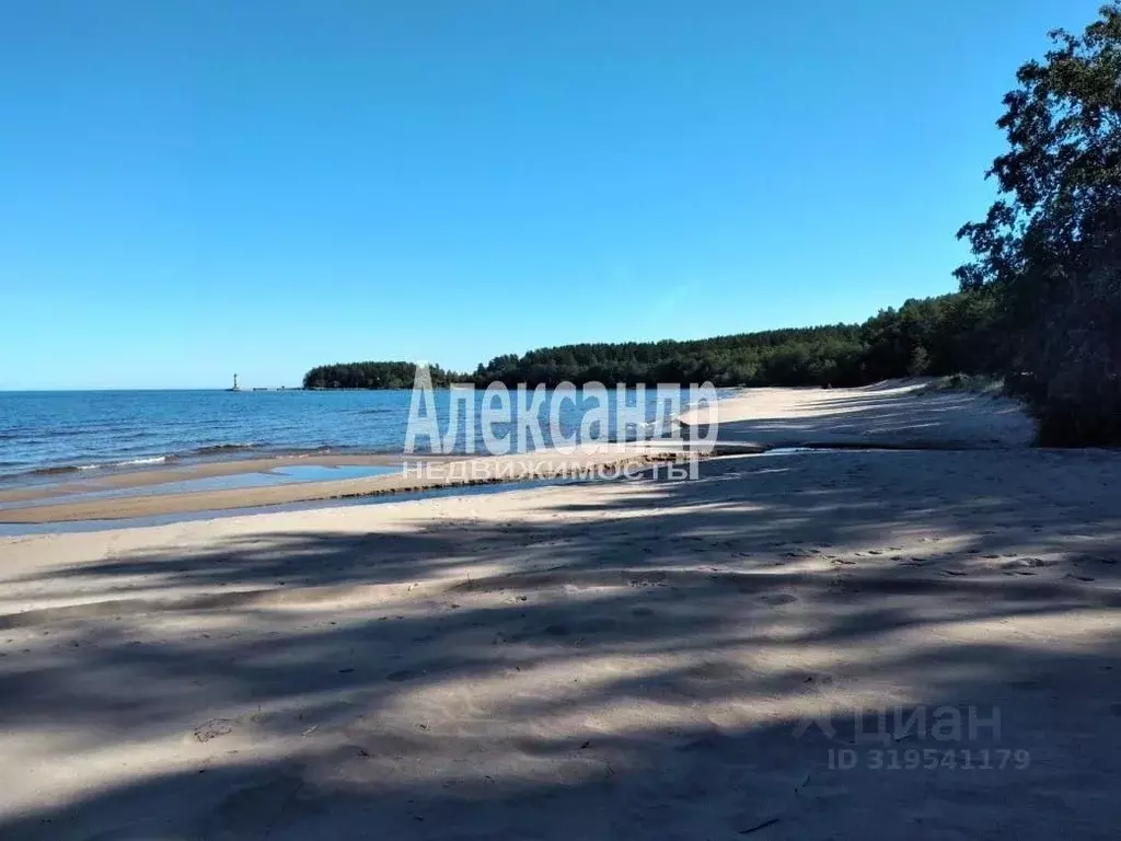 Участок в Ленинградская область, Приозерский район, Ларионовское ... - Фото 0