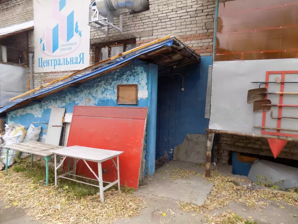 Помещение свободного назначения в Алтайский край, Барнаул ул. Антона ... - Фото 1