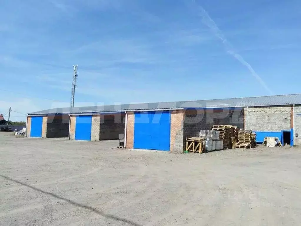 Склад в Ростовская область, Ростов-на-Дону Совхозная ул., 42к2 (300 м) - Фото 2
