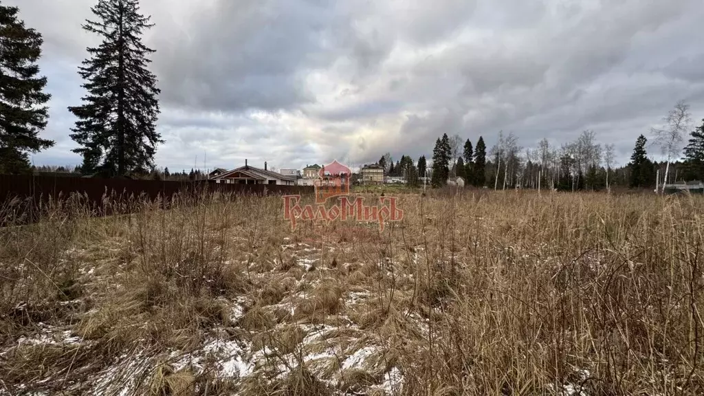 Участок в Московская область, Пересвет Сергиево-Посадский район, ул. ... - Фото 2
