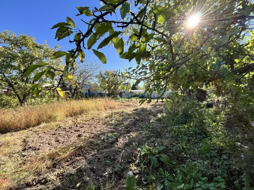 Участок в Нижегородская область, Нижний Новгород д. Малая Ельня, Луч ... - Фото 1