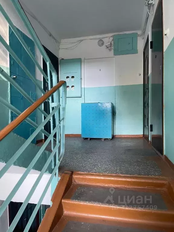 3-к кв. Омская область, Омск пос. Кордный, ул. 3-я Кордная, 24 (59.0 ... - Фото 1