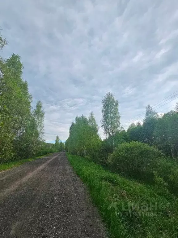 Участок в Калужская область, Боровский муниципальный округ, Совьяки ... - Фото 2