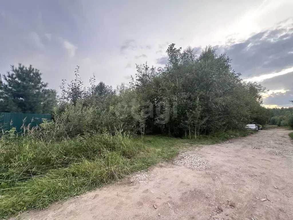 Участок в Коми, Сыктывдинский район, Выльгорт муниципальное ... - Фото 2