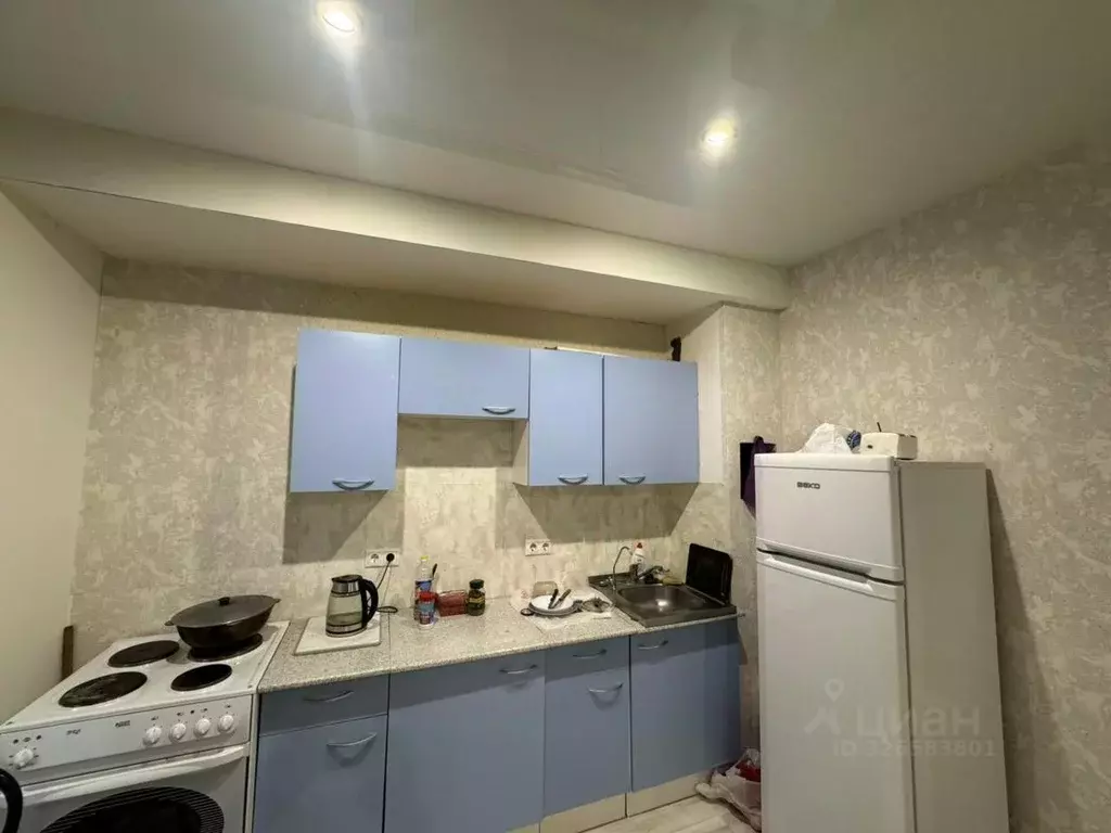 1-к кв. Московская область, Богородский городской округ, д. Щемилово ... - Фото 2