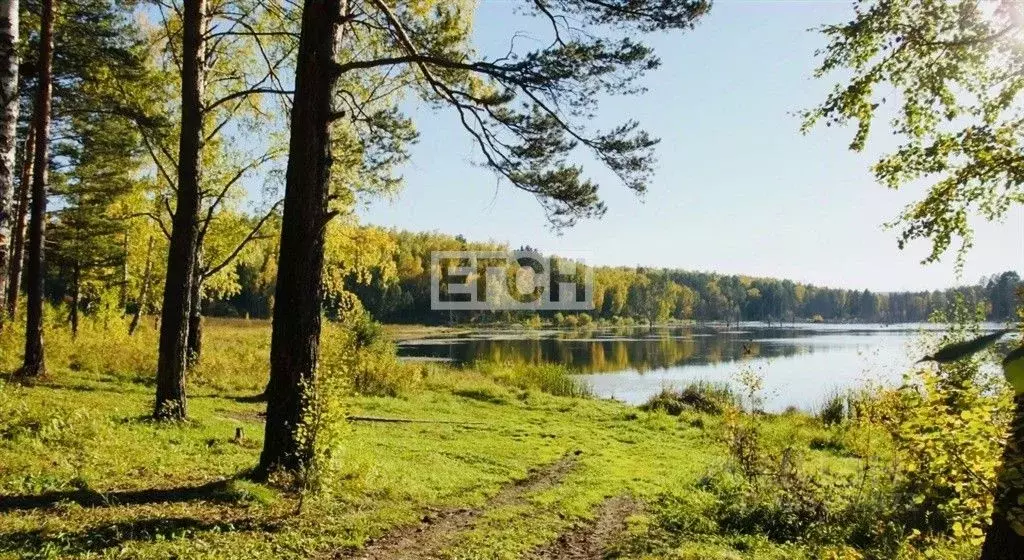 Участок в Тверская область, Ржевский муниципальный округ, д. Азарово ... - Фото 1