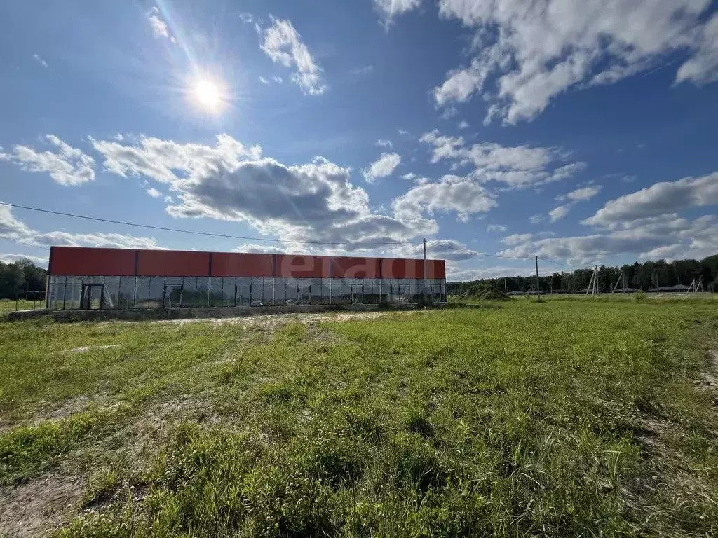 Участок в Марий Эл, Медведевский район, Руэмское с/пос, д. Нолька ул. ... - Фото 2