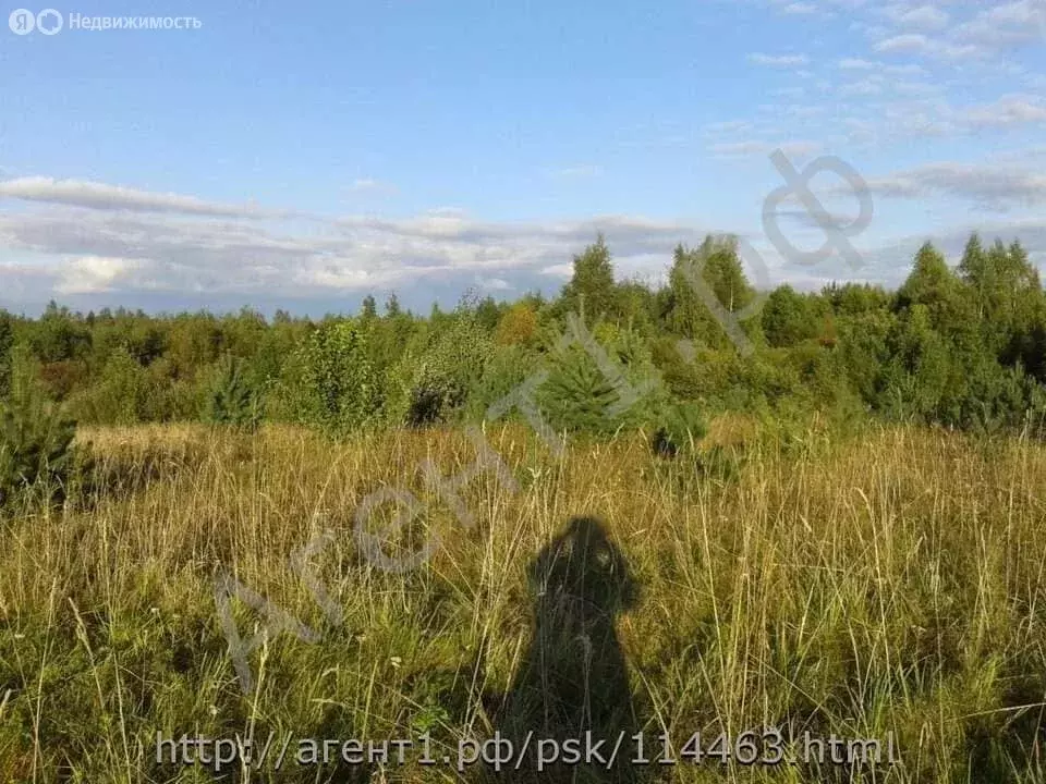Участок в Псковская область, Печорский муниципальный округ, деревня ... - Фото 1