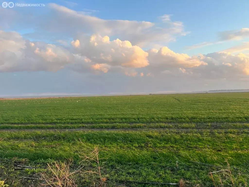 Участок в село Бессергеновка, Азовская улица, 31 (1800 м) - Фото 0