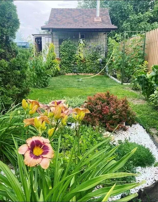 Дом в Волгоградская область, Волгоград Чайка СНТ, ул. Ореховая (68 м) - Фото 1
