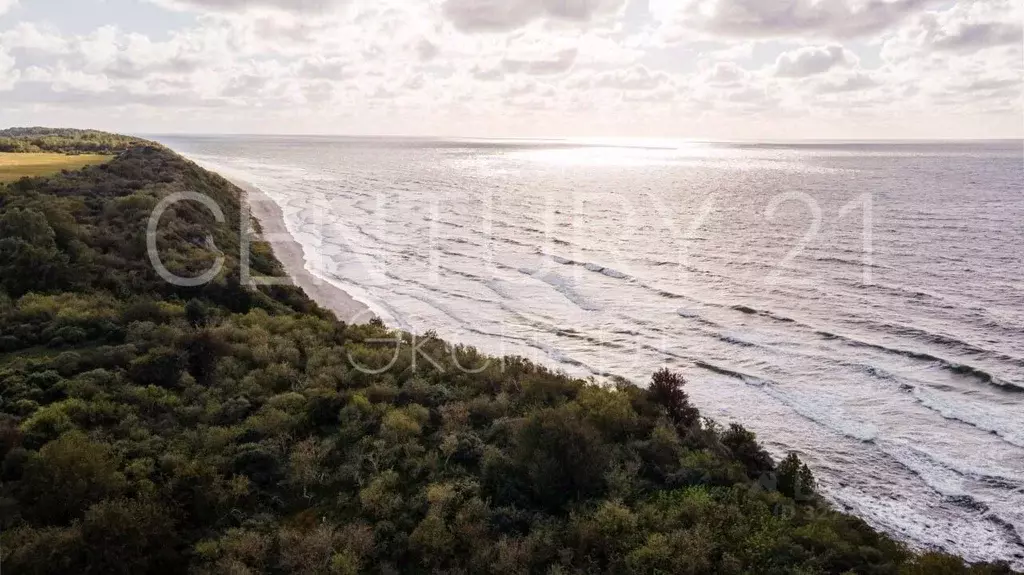 Участок в Калининградская область, Янтарный городской округ, пос. ... - Фото 2