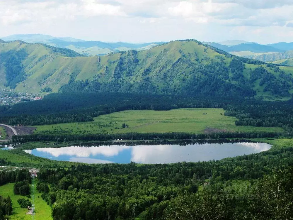 Участок в Алтайский край, Алтайский район, Айский сельсовет, с. Ая  ... - Фото 0