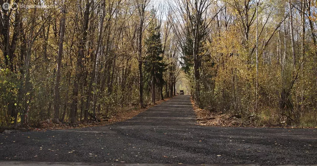 Участок в Московская область, городской округ Чехов, территориальный ... - Фото 0