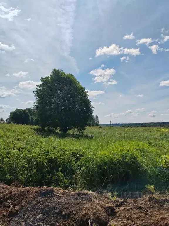 Участок в Московская область, Можайский муниципальный округ, д. ... - Фото 1