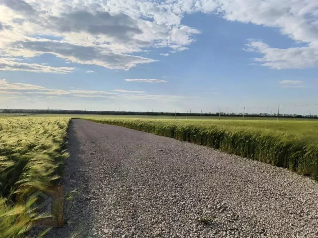 Участок в Крым, Ленинский район, Челядиновское с/пос, с. Челядиново ... - Фото 2