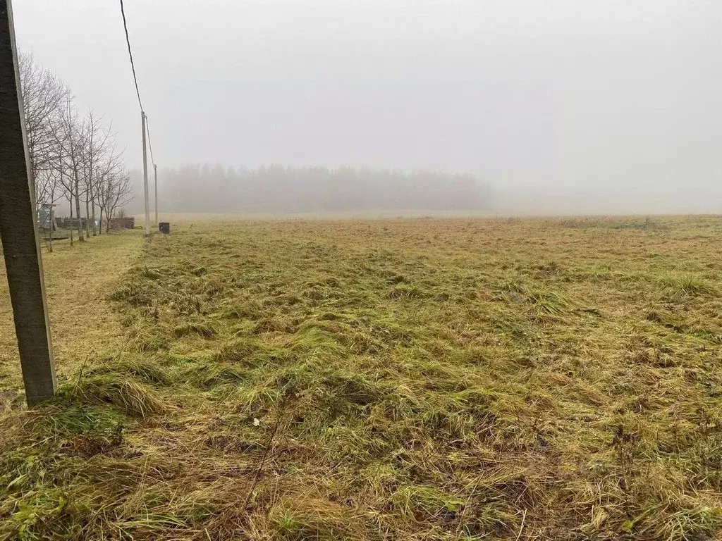 Участок в Ленинградская область, Гатчинский район, д. Таровицы  (160.0 ... - Фото 0