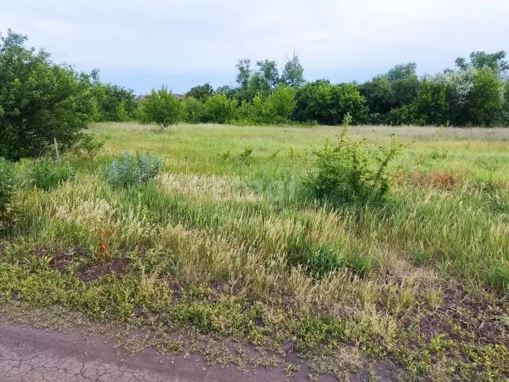 Участок в Белгородская область, Белгород Сухой Лог садоводческий ... - Фото 0