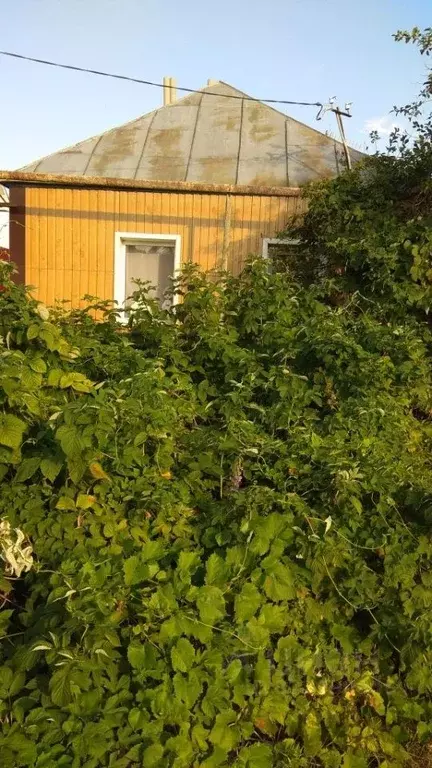 Дом в Белгородская область, Ракитное городское поселение, Ракитное рп ... - Фото 1