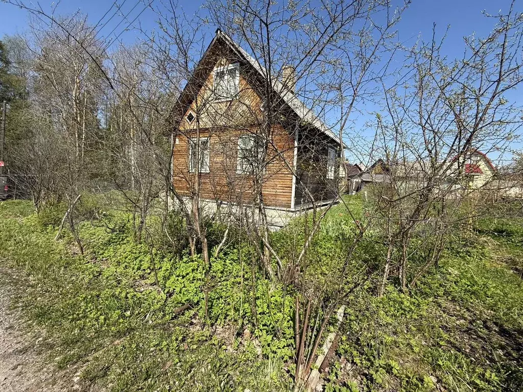 Дача 50 м на участке 6,5 сот. - Фото 1
