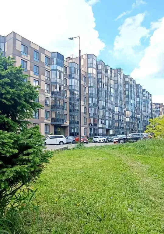 2-к кв. Московская область, Апрелевка Наро-Фоминский городской округ, ... - Фото 2