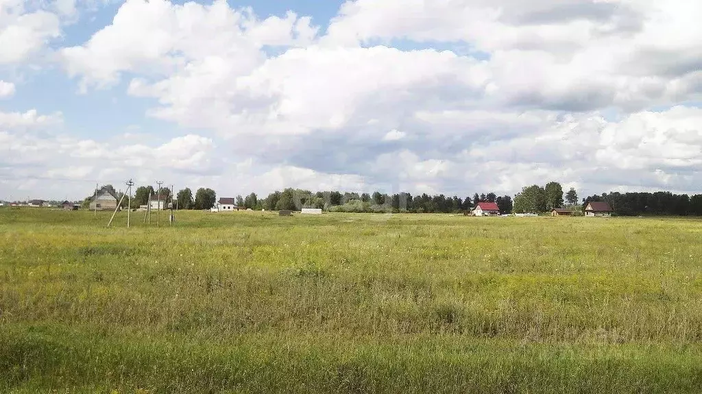 Участок в Алтайский край, Барнаул Сиреневая ул. (5.9 сот.) - Фото 0