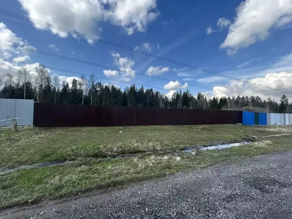 Участок в Московская область, Щелково городской округ, Заозерный СНТ  ... - Фото 2