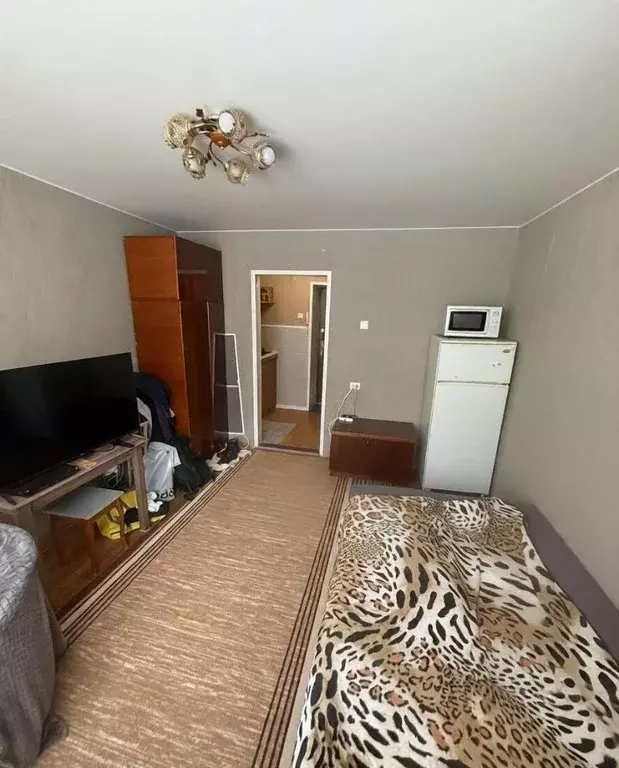 Студия Новгородская область, Великий Новгород ул. Попова, 8к2 (17.1 м) - Фото 2