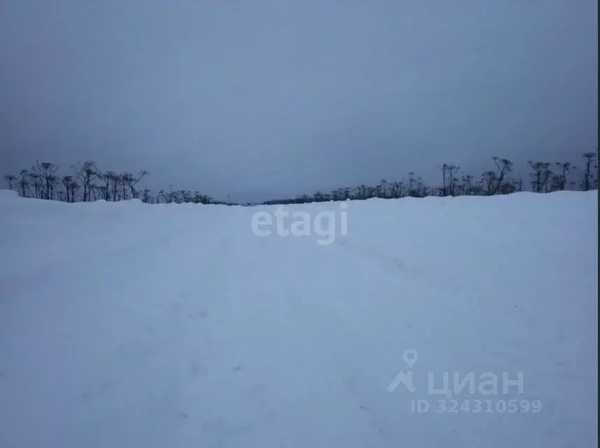 Участок в Пермский край, Пермский муниципальный округ, с. Курашим  ... - Фото 1