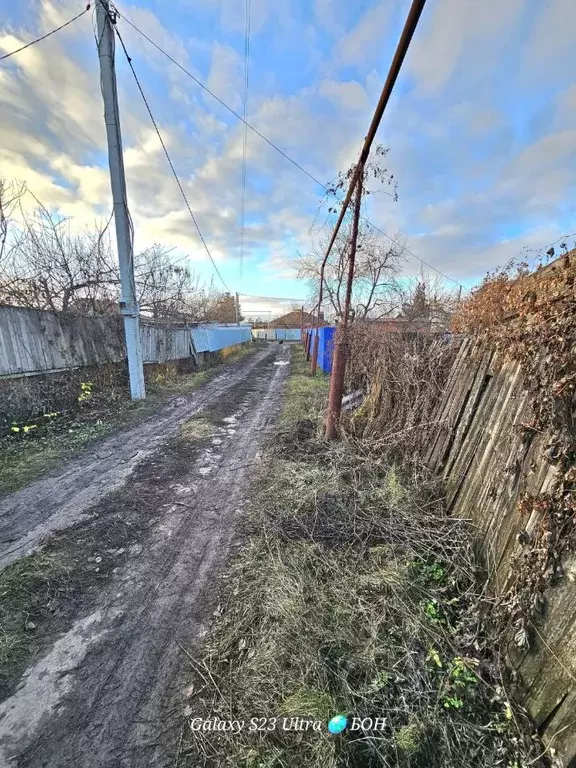 Участок в Саратовская область, Балаковский район, Быково-Отрогское ... - Фото 1