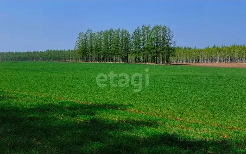 Участок в Владимирская область, Муром д. Ожигово,  (479.0 сот.) - Фото 0