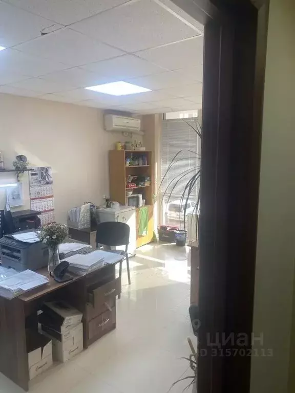 Помещение свободного назначения в Краснодарский край, Анапа ... - Фото 0