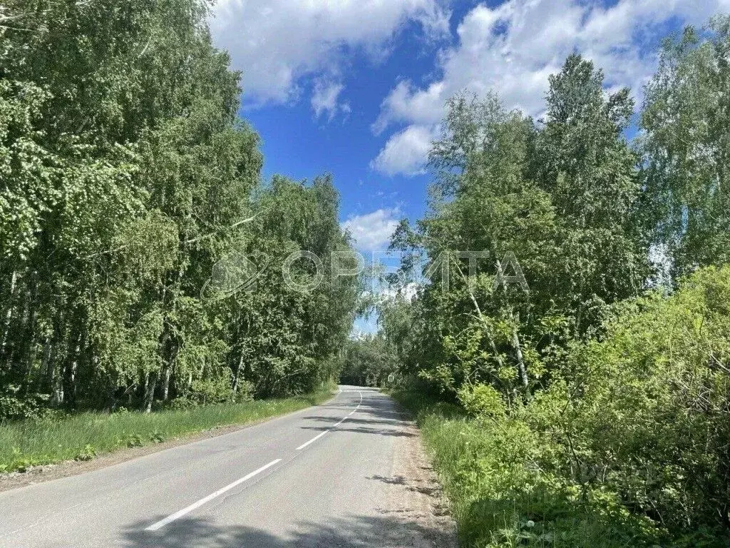 Участок в Тюменская область, Тюменский район, Приозерное СПК  (6.11 ... - Фото 0