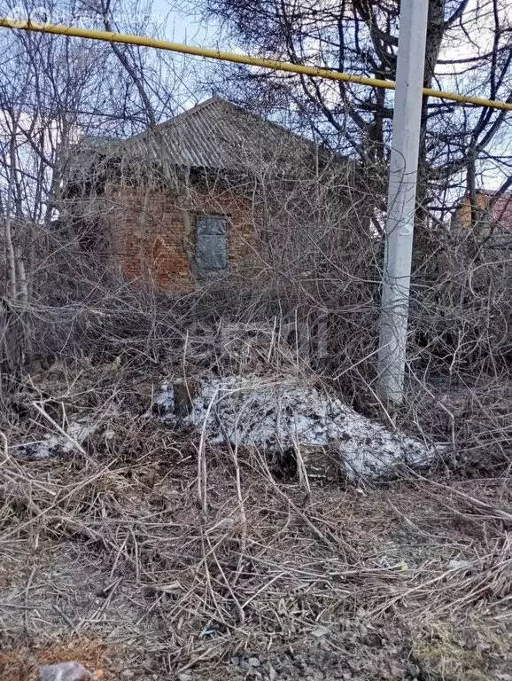 Участок в Новосибирский район, Каменский сельсовет, село Каменка (6.3 ... - Фото 1