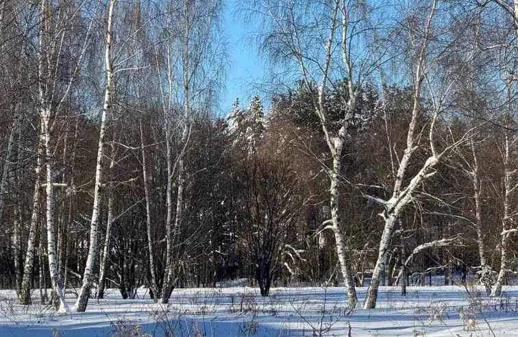 Участок в Московская область, Богородский городской округ, д. Исаково ... - Фото 1