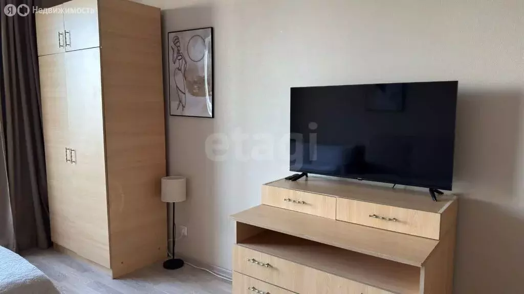 Квартира-студия: Санкт-Петербург, Туристская улица, 10к1 (29.2 м) - Фото 2