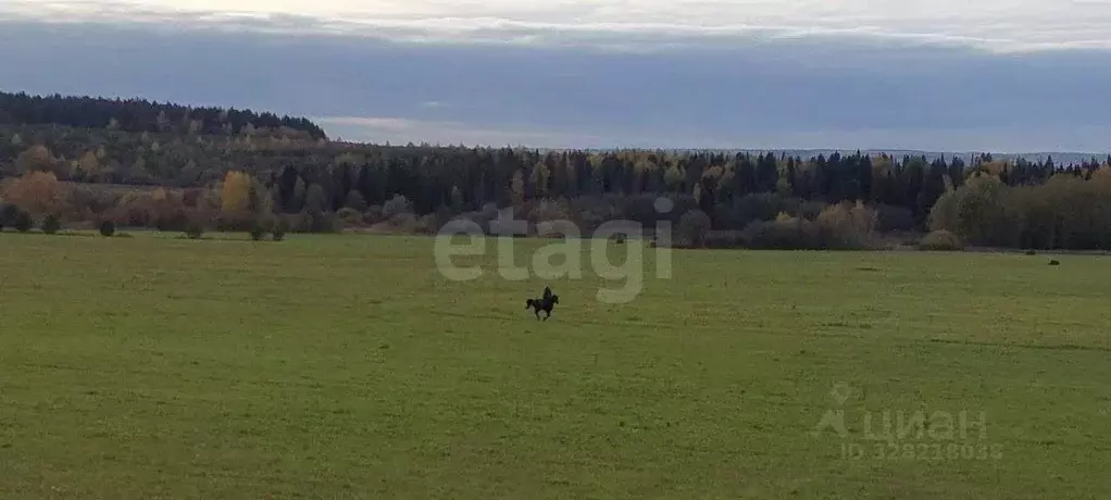 Участок в Пермский край, Пермский муниципальный округ, с. Лобаново ул. ... - Фото 1