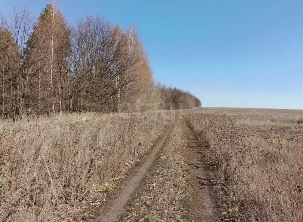 Участок в Липецкая область, Липецкий муниципальный округ, с. Ленино  ... - Фото 1