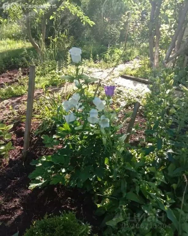 Участок в Аксайский район, хутор Истомино (6 м) - Фото 1