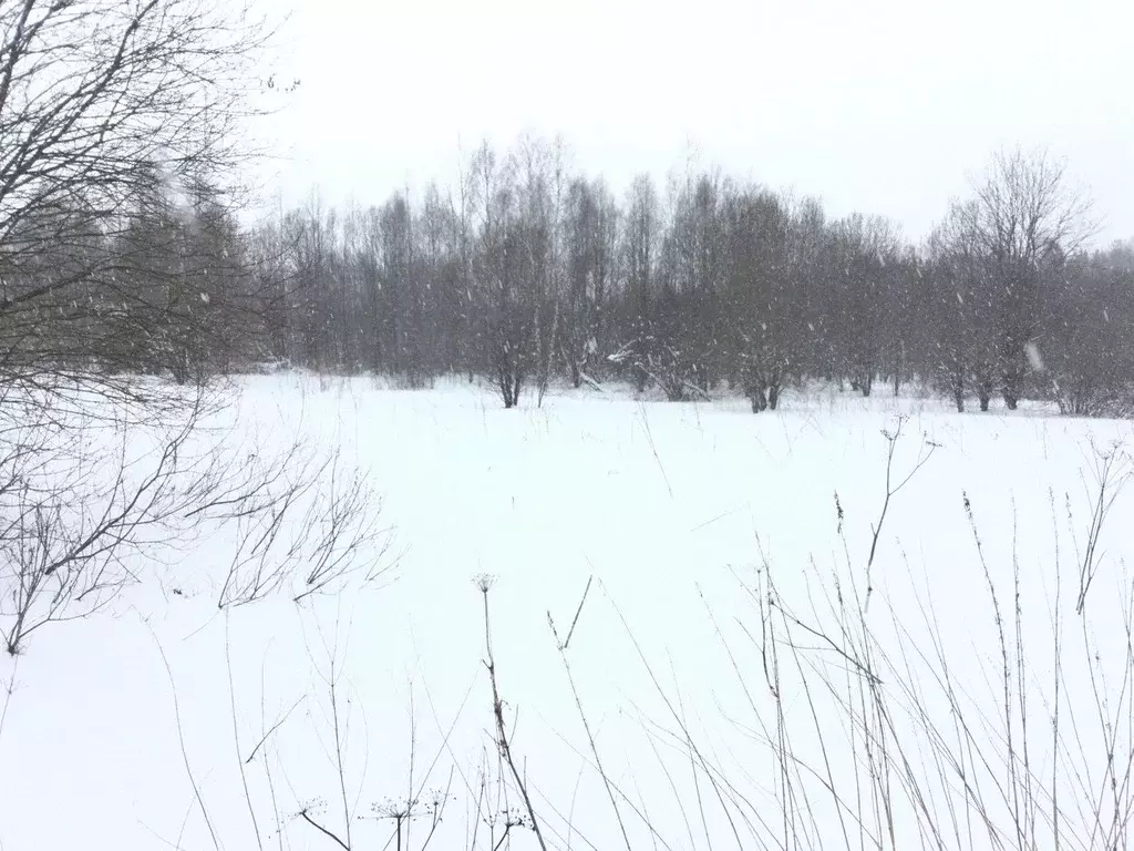 Участок в Московская область, Сергиево-Посадский городской округ, с. ... - Фото 0