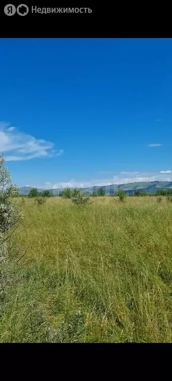 Участок в Алтайский район, Айский сельсовет, село Ая (10 м) - Фото 1