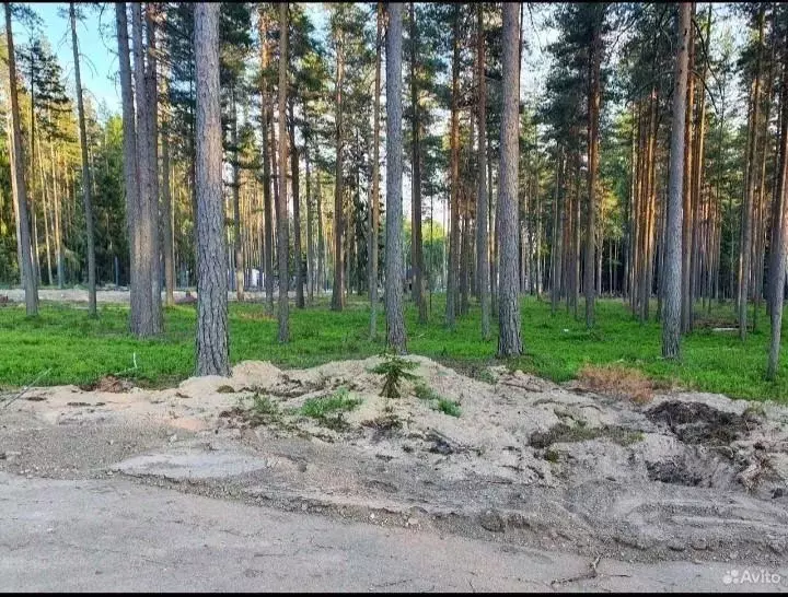 Участок, 16.3 сот., поселения (ижс) - Фото 2