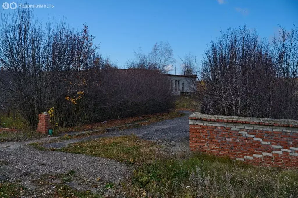 Участок в Сазанье, улица Чаадаева, 3А (9000 м) - Фото 0