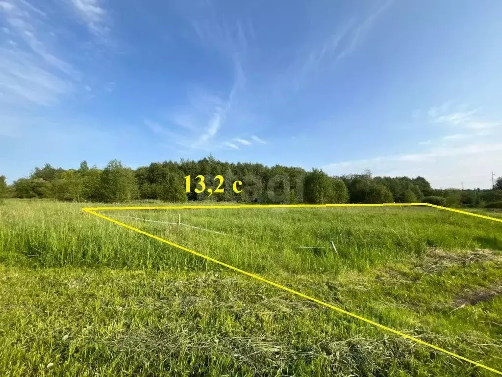 Участок в Вологодская область, д. Княгинино (Подлесный сельсовет)  ... - Фото 1