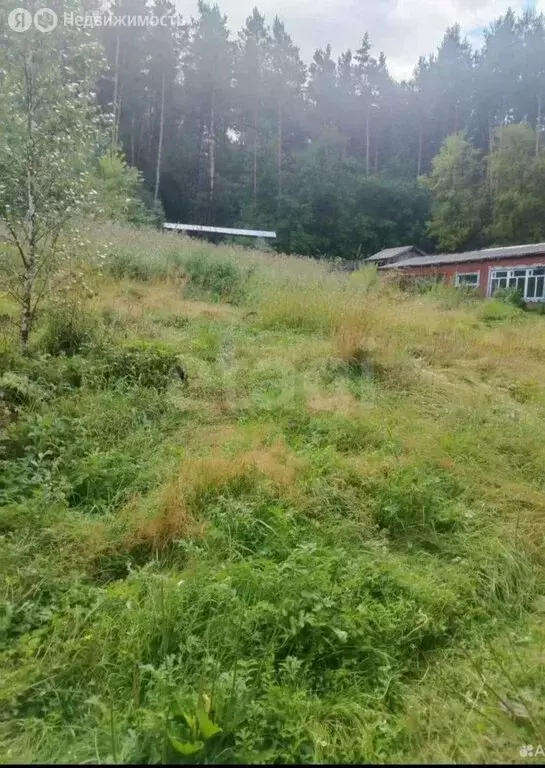 Дом в Горно-Алтайск, Турочакский переулок (42 м) - Фото 2